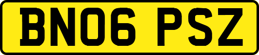 BN06PSZ