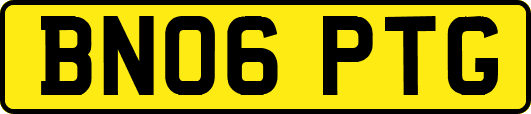 BN06PTG
