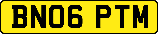 BN06PTM
