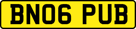 BN06PUB