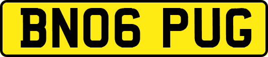 BN06PUG