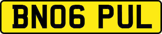 BN06PUL