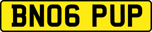 BN06PUP