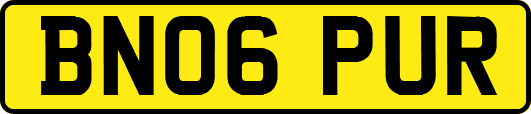 BN06PUR