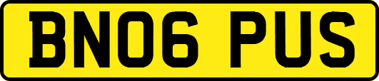 BN06PUS