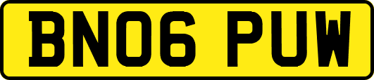 BN06PUW