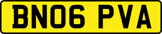 BN06PVA
