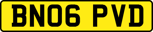 BN06PVD