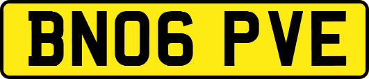BN06PVE