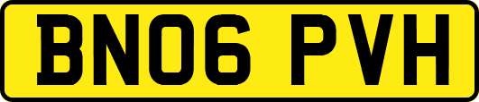 BN06PVH
