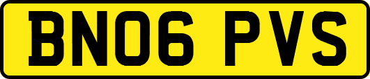BN06PVS