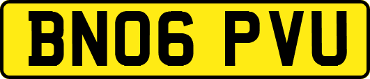 BN06PVU