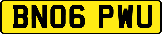 BN06PWU