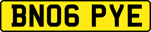 BN06PYE