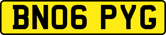 BN06PYG