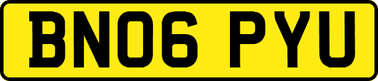 BN06PYU