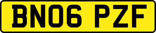 BN06PZF
