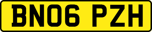 BN06PZH