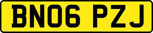 BN06PZJ
