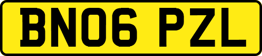BN06PZL