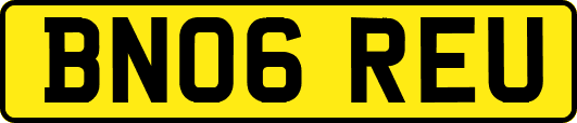 BN06REU