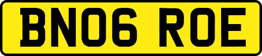 BN06ROE