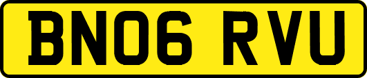 BN06RVU