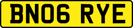 BN06RYE