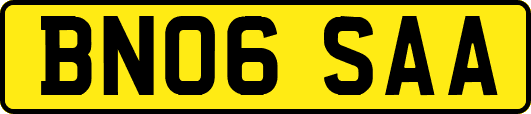 BN06SAA