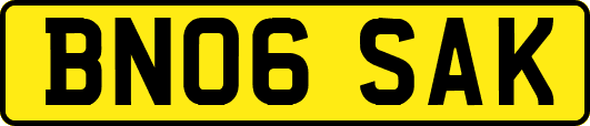 BN06SAK