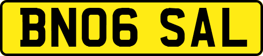 BN06SAL
