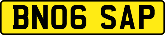 BN06SAP