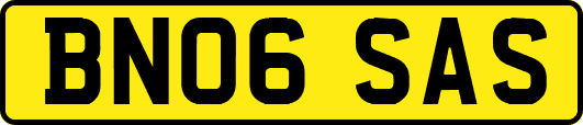BN06SAS