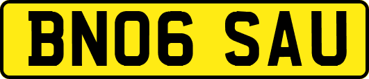 BN06SAU