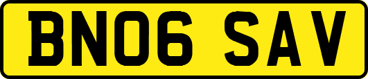 BN06SAV