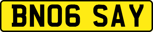 BN06SAY