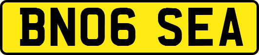 BN06SEA