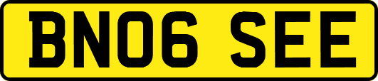 BN06SEE