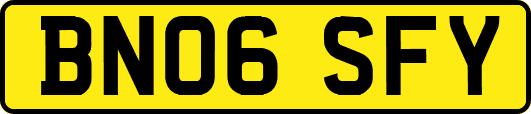 BN06SFY