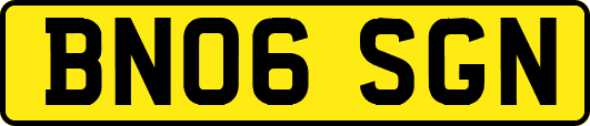 BN06SGN