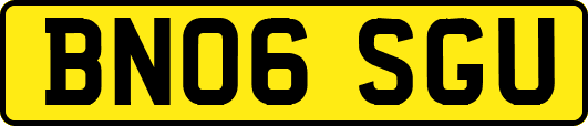 BN06SGU