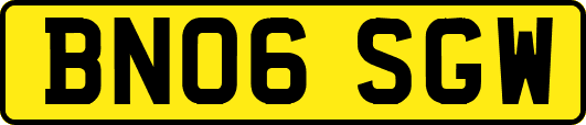 BN06SGW