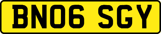 BN06SGY