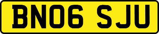 BN06SJU