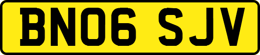 BN06SJV