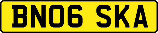 BN06SKA