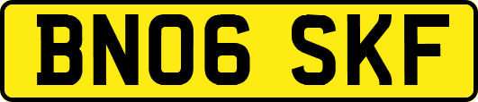 BN06SKF