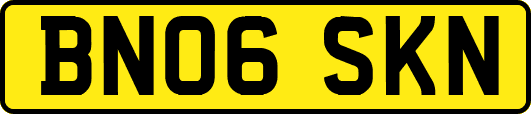BN06SKN