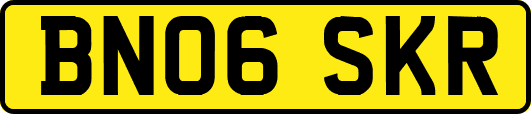 BN06SKR