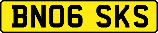 BN06SKS